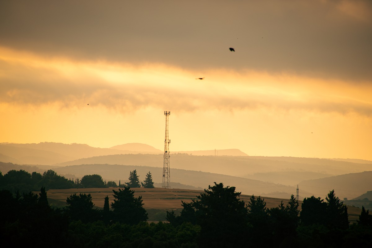 Golden sunset over rolling hills of northern Israel with communication tower and silhouetted trees near Acre