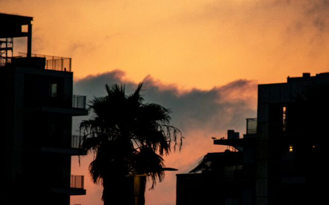 Tel Aviv urban skyline silhouette with palm tree against dramatic golden hour sunset sky during wartime evacuation