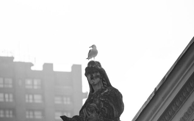 Black and white photograph of a stone statue with seagull perched on head atop London building rooftop in winter fog