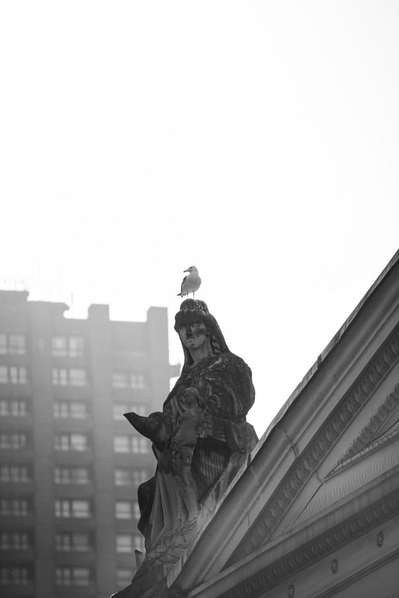 Black and white photograph of a stone statue with seagull perched on head atop London building rooftop in winter fog
