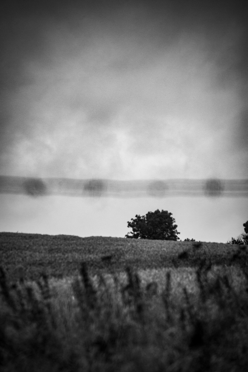 Black and white winter landscape with solitary tree on rolling fields under dramatic cloudy sky, Butlers Marston Warwickshire