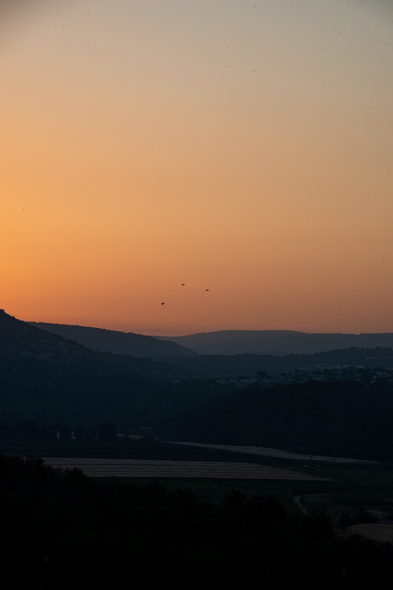 Golden hour sunset silhouette over rolling hills and valley in Shlomi northern Israel with birds in flight
